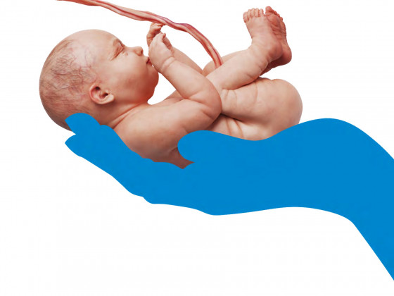 Neugeborenes in einer blauen Hand, Motiv der Stiftung für das behinderte Kind